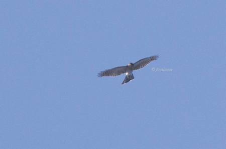 2011-10-26_053x.jpg