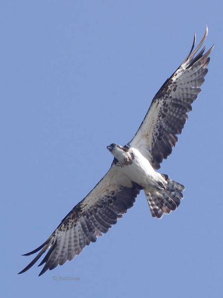 2011-10-27_126.jpg