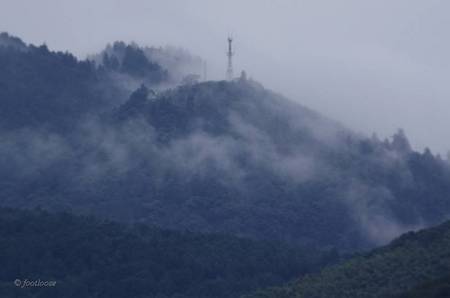 2011-10-30_122.jpg