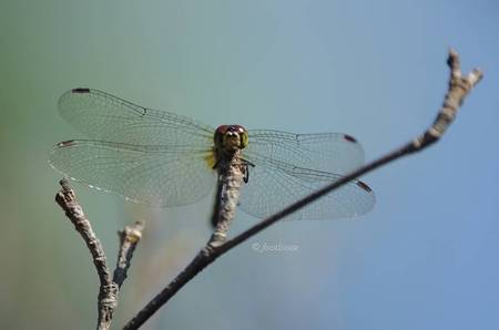 2011-10-31_027.jpg