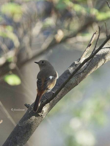 2011-11-16_050.jpg
