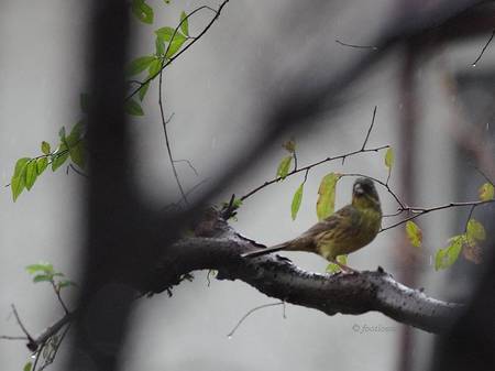 2011-11-18_017.jpg