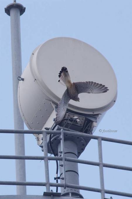 2011-11-20_105.jpg