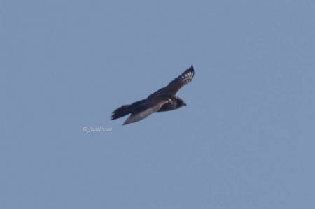 2011-11-26_683.jpg