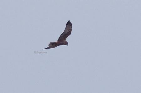 2011-12-10_473.jpg