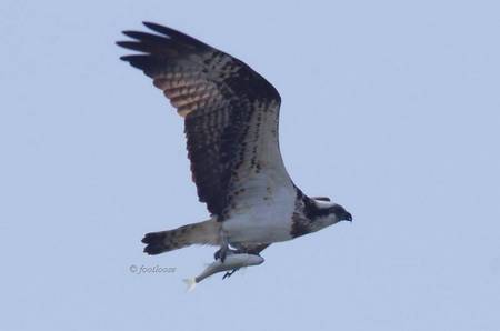 2011-12-23_275.jpg