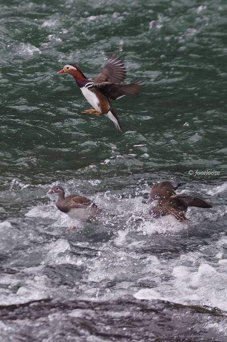 2011-12-23_828.jpg
