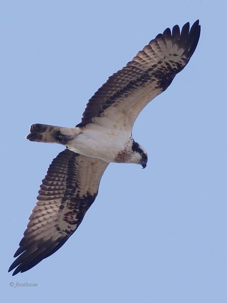 2011-12-24_024.jpg