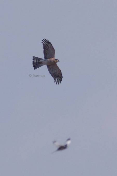 2011-12-24_036.jpg