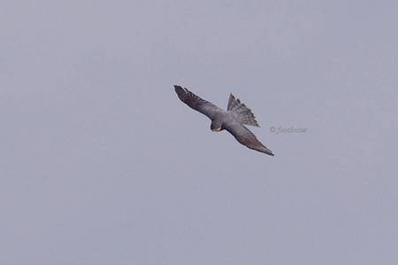 2011-12-24_044.jpg