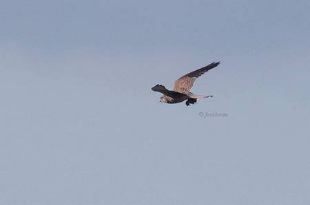 2011-12-25_320.jpg