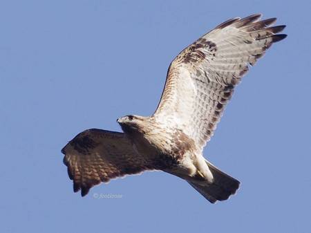 2011-12-31_079.jpg