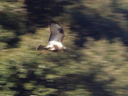 2011-12-31_096x.jpg