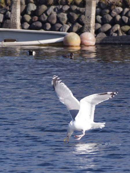 2012-03-12_170.jpg
